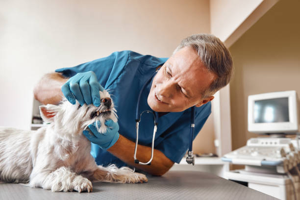 Best After-Hours Emergency Dentist in Tladega, AL